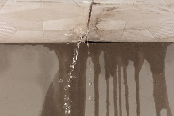Professional Flood Damage Cleanup technician working in Malverne, NY